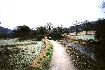 105. Cromford Canal, Derbyshire...