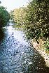 130. River Derwent, Belper...