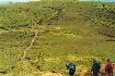 76. Kinder Scout, Derbyshire...