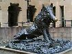 72. Florentine boar, Sydney Hospital, Sydney, NSW...